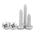 SS Stainless Steel 304 CM Large Head Furniture Phillips Tapping Screw Flat Round Head