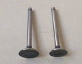 Intake valve Exhaust Valve for gxr120 gx100
