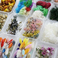 Wholesale Mini Mixed Natural Dried Flowers Box Real Preserved Flower Plants for  DIY Resin Craft Supplies Mother's Day Decor