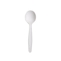 Hot Sale Stocked Biodegradable Disposable Bagasse 100% Compostable Soup Spoon Cutlery Set for Party