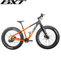 Full Carbon Fiber Mountain Bike 26er Complete Snow Bike Beach Sand Bicycles for Teenager Fat Wide Tyre 12 Speed