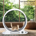 Hot Selling Animal Treadmill for Dogs Cats