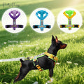 Reduces Pulling Comfy & Cushioned Fashion Luxury Dog Clothes Vest Wholesale Designer Dog Harness Custom