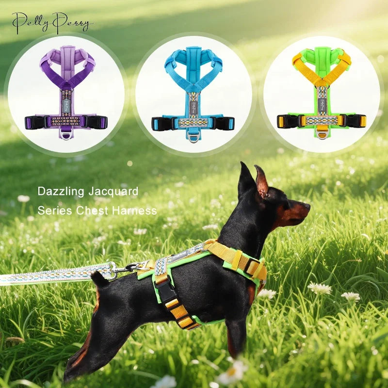 Reduces Pulling Comfy & Cushioned Fashion Luxury Dog Clothes Vest Wholesale Designer Dog Harness Custom