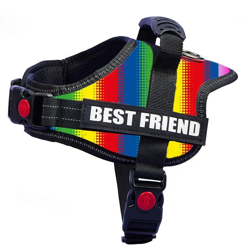Personalized Strong Comfortable Rainbow Padded Service Dog Harness and Leash Puppy Large Luxury Dog Clothes