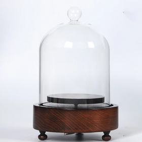 Glass Dome Music Box for Home Decor