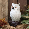 White Owl Resin Sculpture with Wooden Base Hand-Carved Garden Decor Nordic Style Animal Statue with Natural Wood Grain Finish
