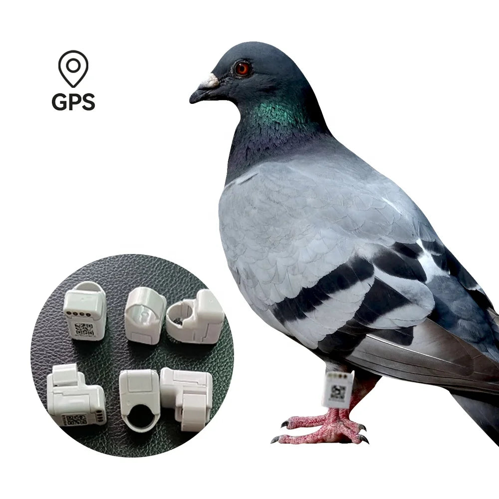 Gps tracker Download APP View Real-time Location of the Current Phone Historical Track Within 3 Months