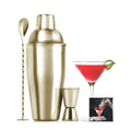 Hot  Selling 3pcs Bartender Kit Barware Stainless Steel Cocktail Shaker Set with Recipes