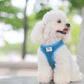 Wholesale Luxury Teddy Velvet Reversible Small Dog Harness Vest Custom Polyester Pet Harness with Lace Decoration Dog Leash Set