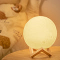 Rechargeable 3D Printed LED Ball Light Indoor & Outdoor Party Table Decoration PC Body with Remote Control Battery Powered