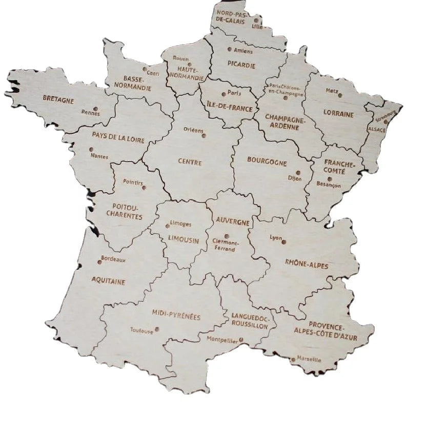 Hot Sale Product France Magnetic Wooden Puzzle Map