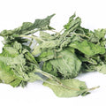 Wholesale Healthy Mint Leaf Spearmint Tea Peppermint Wintermint Leave Tea