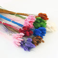 M104 Wedding Home Decor Dried Flower Bouquet Dried Jewel Grass Dog Tail Grass Preserved Natural Real Dried Phalaris Flower MegaBDM