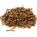 Dried Mealworm for Bird Food Chicken Food Pet Food