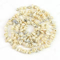 Wholesale Natural Bamboo Coral Stone Beads Cream White Gemstone Chips Beads for Woman Bracelets Making 5 - 8mm