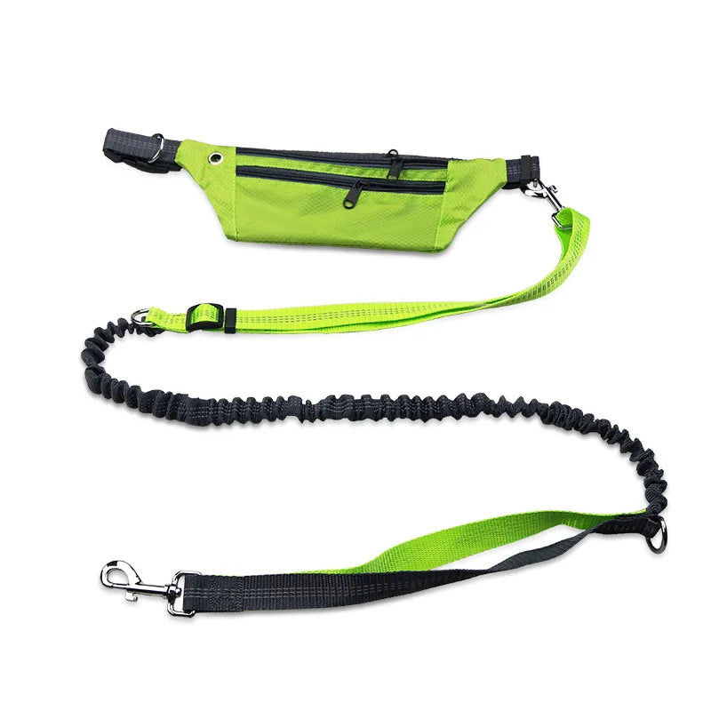 Hot Sale China Supplier Running Leads Rope Belt Waist Bag Elastic Dog Leash Traction Rope Safety Belt Pet Dog Leash