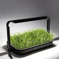 Decorative Indoor Garden Smart Plant Table Hydroponic Growing Systems Grow Light