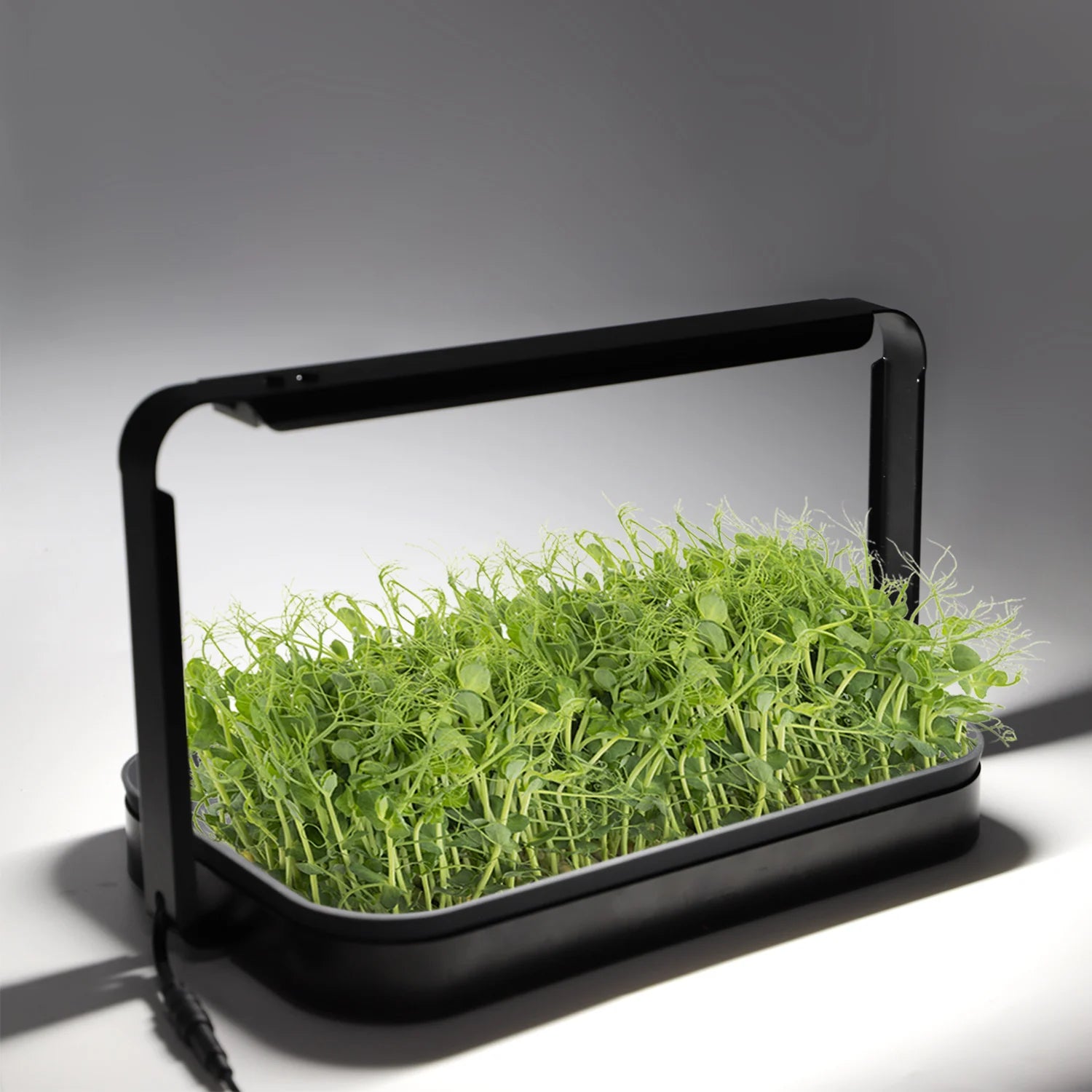 Decorative Indoor Garden Smart Plant Table Hydroponic Growing Systems Grow Light