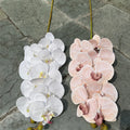 D-OR001 Nude Color Single Wholesale Real Touch White Butterfly Orchid Flowers Artificial Phalaenopsis Blue Orchids for Decor