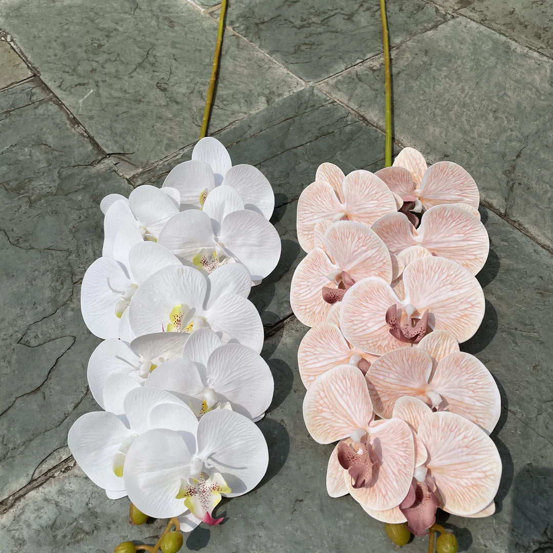 D-OR001 Nude Color Single Wholesale Real Touch White Butterfly Orchid Flowers Artificial Phalaenopsis Blue Orchids for Decor