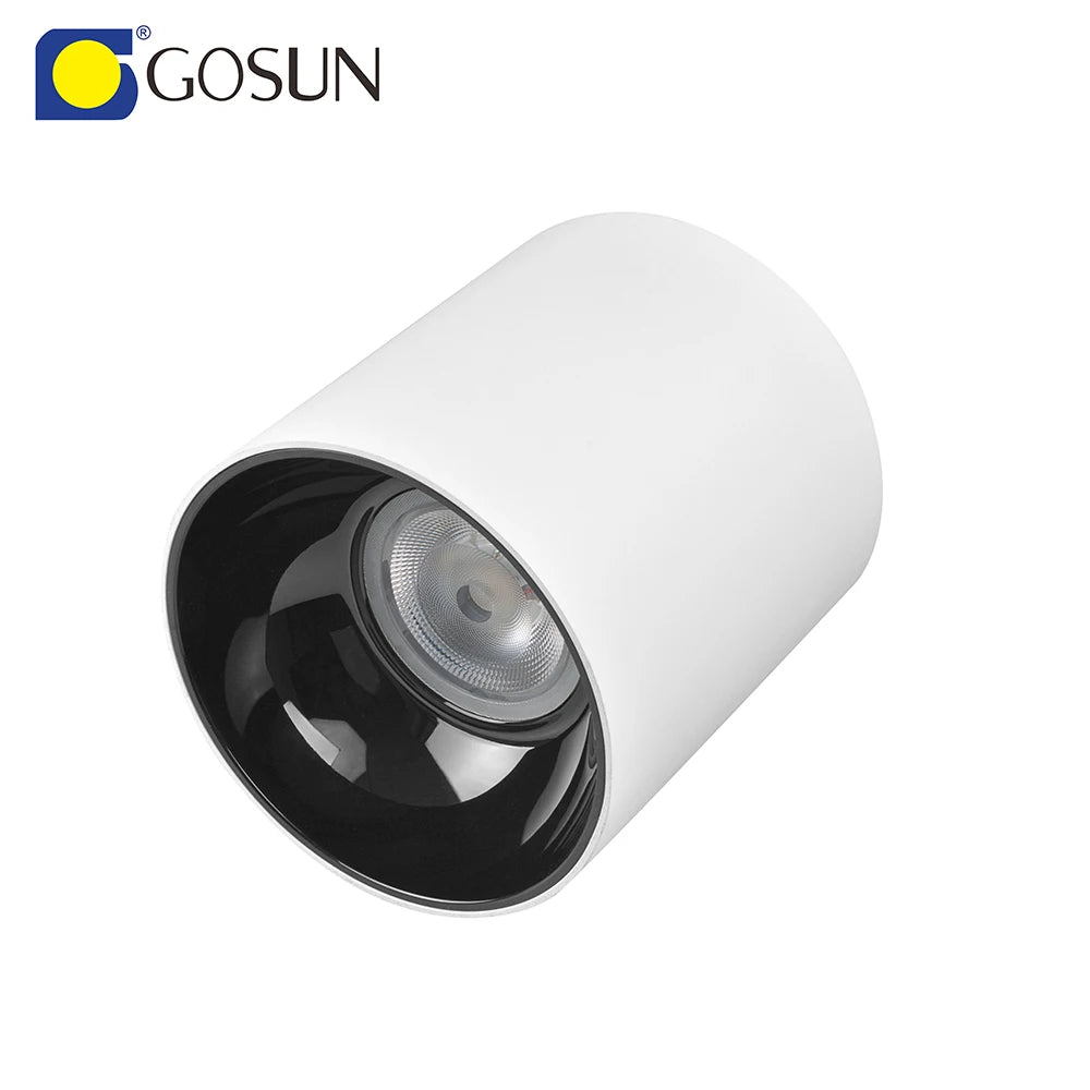15W Aluminum COB LED Downlight IP65 Waterproof Adjustable Surface Mounted Downlight Dali Dimmable LED Spotlight