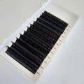 Blooming Easy Fan Eyelash Extensions Hot Sale False Silk Eyelashes Extensions