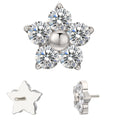 Ready to Ship 14G 16G 18G Threadless Top Labret Push Pin 3 Prong Set CZ Flower Earring Nose Ring Piercing Jewelry