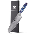 WILDMOK Professional 7 Inch Japanese 67 Layers Damascus Steel Kitchen Knife Santoku Chef Knife with Resin Handle