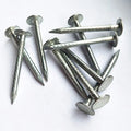 2 Inch Flat Head Galvanized Iron Roofing Nails Cap Style with Smooth Spiral Shank