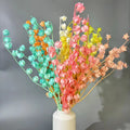 Hot Sale Good Quality Preserved Flowers Poha Cape Gooseberry for Decorative Flowers