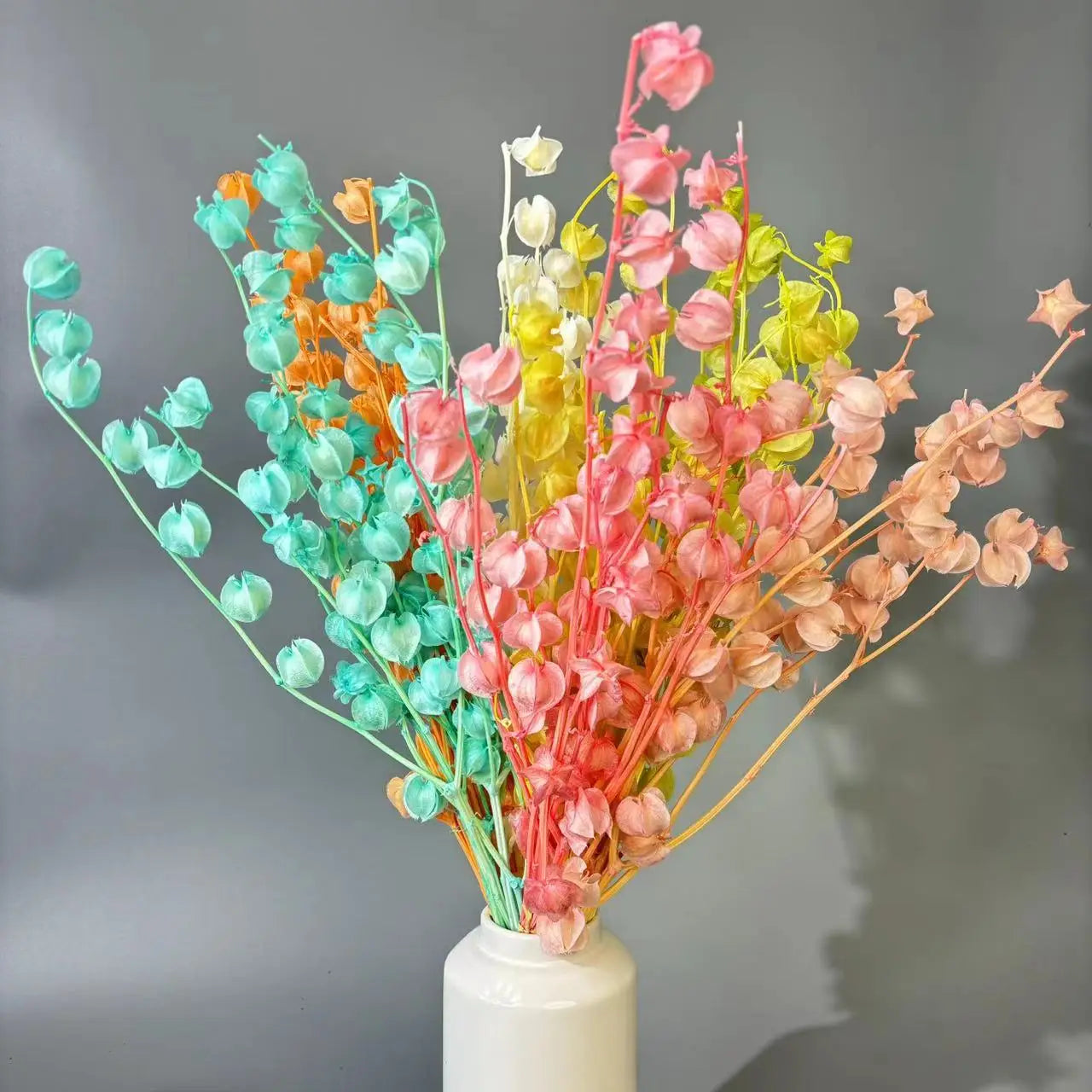Hot Sale Good Quality Preserved Flowers Poha Cape Gooseberry for Decorative Flowers