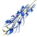 Special Design New Arrival Silk Plover Orchids Artificial Flowers Orchid for Indoor Decor