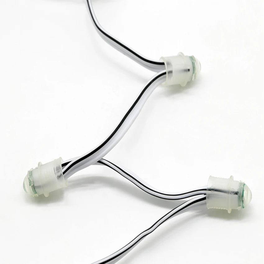 Unit Is 1 Bulb LED Pixel WS2811 WS1903 DC5V 12V Digital DIP IP68 Christmas Led Module Light String F8 12mm RGB LED Pixel Light
