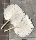 E-B0153 Hot Sale Colorful Natural Preserved Monstera Real Monstera Leaf Dry Preserved Monstera Leaf for Wedding Decoration