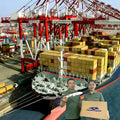 Top 10 Forwarder Seashipping Zhongshan Freight Forwarder to Uk Usa Germany Ddp Lcl Photographic Services