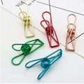 Multipurpose Colorful Metal Photo Clips Steel Wire Clothes Hanging Pegs Binder Paper Clips Food Bag Clips 55mm JNT Brand Model