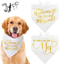 Engagement Gift Wedding Photo Prop Pet Scarf Dog Engagement Announcement Pet Accessories Wedding Gift Suppliers