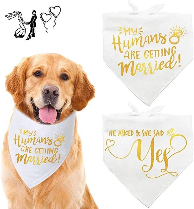 Engagement Gift Wedding Photo Prop Pet Scarf Dog Engagement Announcement Pet Accessories Wedding Gift Suppliers