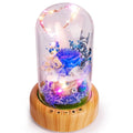 Preserved Rose in Glass Dome Eternal Flower Night Light with Blue Tooth Speaker for Her on Mother's Day