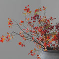 R410 Hot Seller Red Leaves Artificial Plant Room Indoor Decorative Flowers and Plant