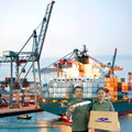 Professional Delivery of Pet Bowls Agent Forwarder Sea Freight Shipping Agents China to USA Germany EU DDP