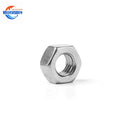 Stainless Steel 304 310 Flange Hex Nut Customized Factory Price Complete Specifications for Mining Sale Service Available