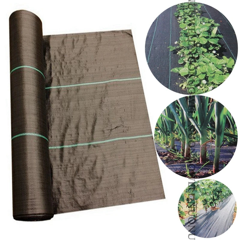 PP Weed Control Biodegradable Agricultural Grass Woven Landscape Fabric Garden Grass Control Mat Weed Control for Landscaping