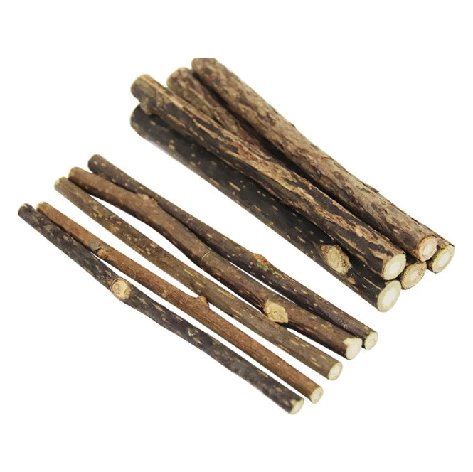 Factory Supply Natural Dried Actinidia Polygama Sticks Silver Vine Sticks Matatabi Sticks-Premium Pet Chew Toys
