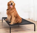 Elevated Dog Bed Outdoor Travelling Big Dog Canopy Bed Raised Mesh Bed