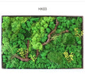 Real Preserved Moss Wall Custom Size Moss Painting Natural Decorative Flowers & Wreaths Wooden Frame Is Installed T/T L/C Etc