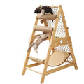 JunjiangFa Interactive Modern Style Cat Bed with Eco-Friendly Wood Climbing Frame Solid Pattern Portable Dress up Toy