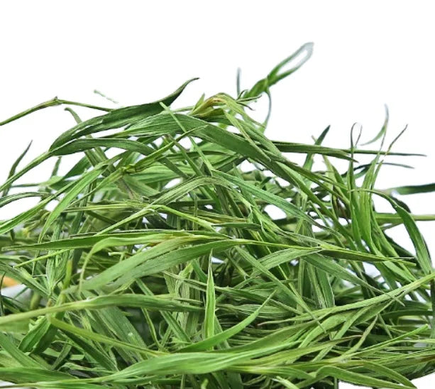 New Lophatherum LEAF Dried Bamboo Grass Lophatherum Gracile Leaves for Tea
