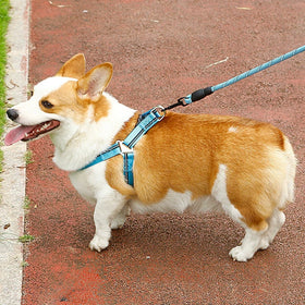 No Pull Adjustable Dog Harness Reflective Chest Strap Leash Different Colors Decorative Rivet Pet Nylon Dog Leash
